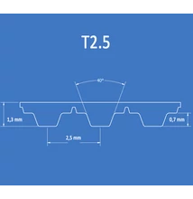 T2.5