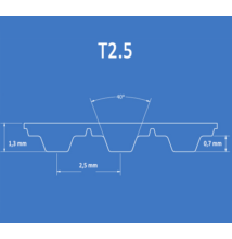 T2.5 T2.5