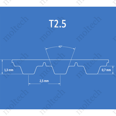 T2.5