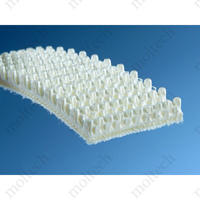 Szállítószalag alapanyag 2EL016W P8